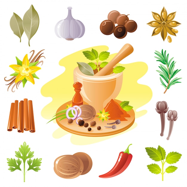 Premium Vector Spices And Herbs Icon Set Food Seasoning Illustration