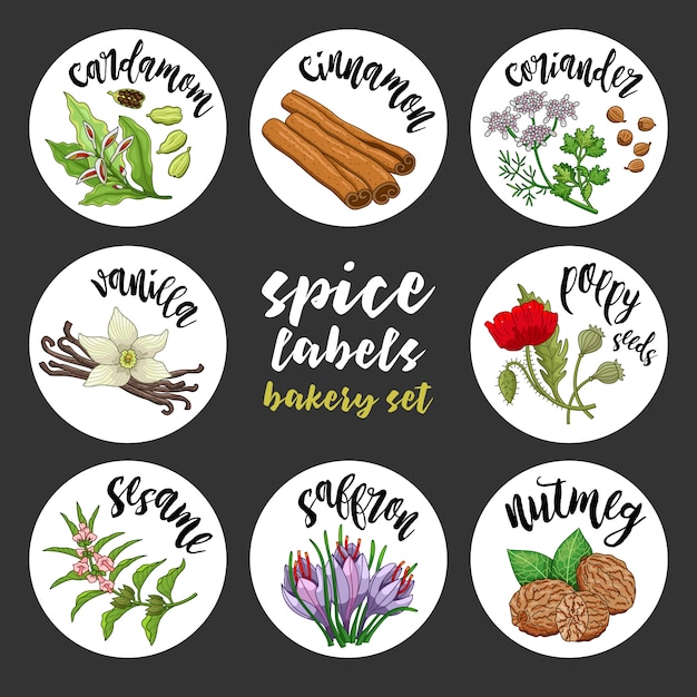 Spices and herbs labels. colored vector bakery set Premium Vector