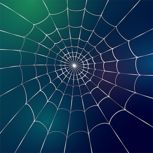 Premium Vector | Spider web vector illustration. halloween decoration ...