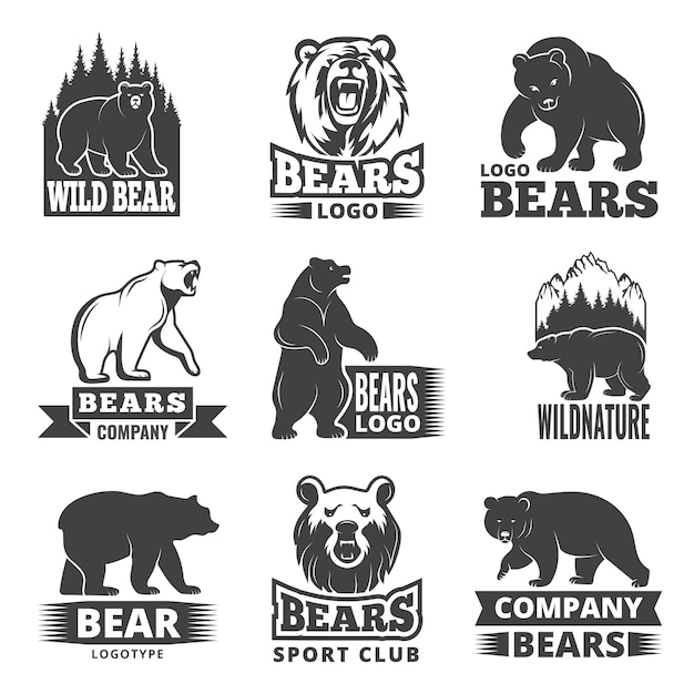 動物のイラスト付きのスポーツラベル ロゴデザインのクマの写真 プレミアムベクター