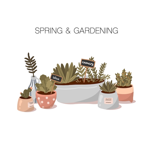 フラット漫画スタイルの春とガーデニングのイラスト かわいい鉢植えの家の植物 プレミアムベクター