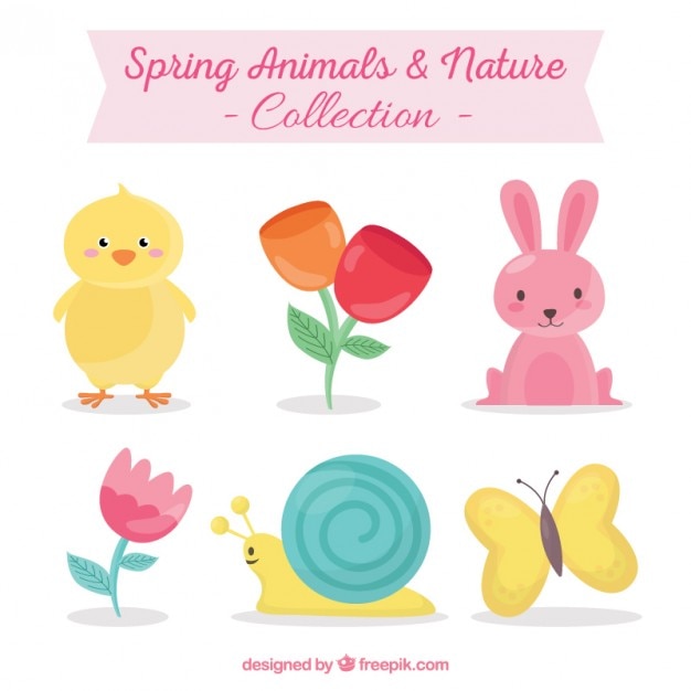 Spring animals and nature collection