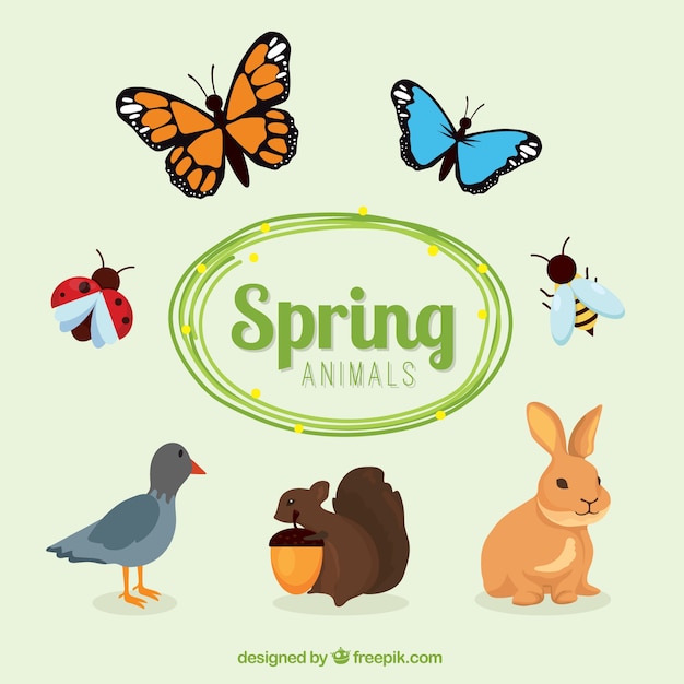 clipart spring animals - photo #12