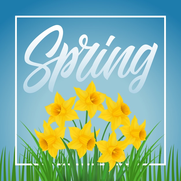 Spring background design