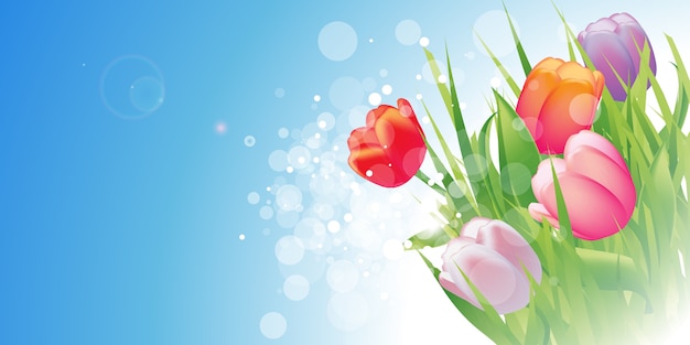 Spring background with flowers | Premium Vector