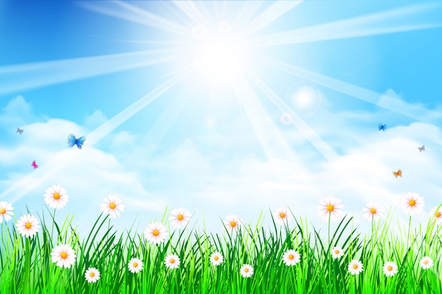 Premium Vector | Spring background