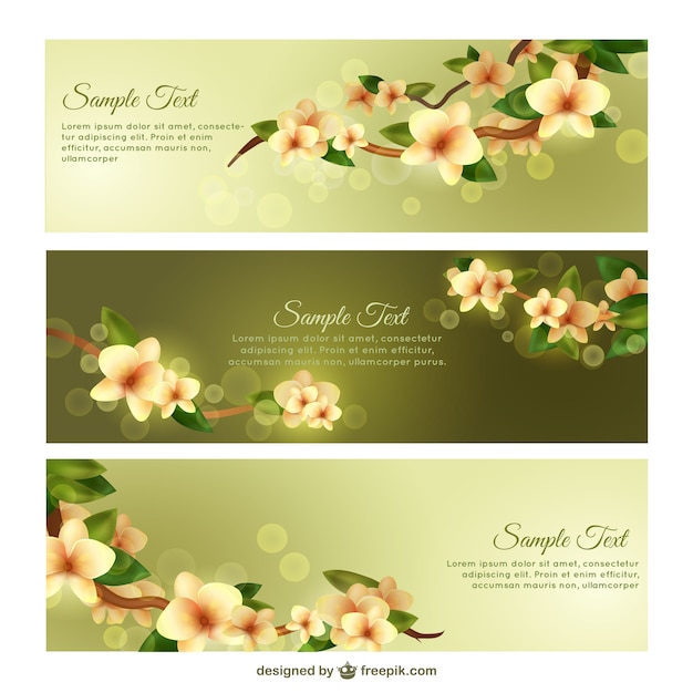 primavera sample project files designs