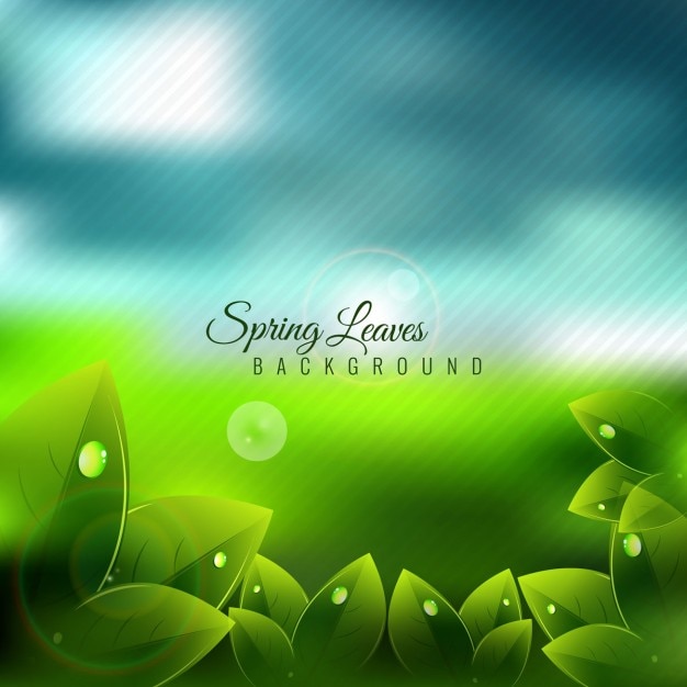 Spring blurred background