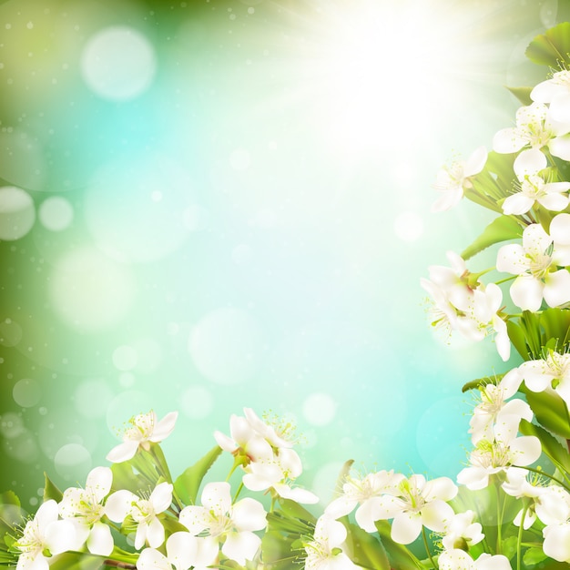 Premium Vector | Spring border background.