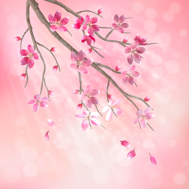 Premium Vector | Spring cherry blossom tree branch with beautiful pink ...