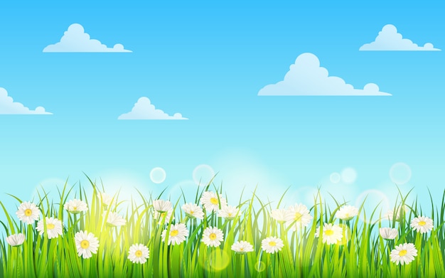 Premium Vector | Spring field of flowers of daisies, chamomile and ...