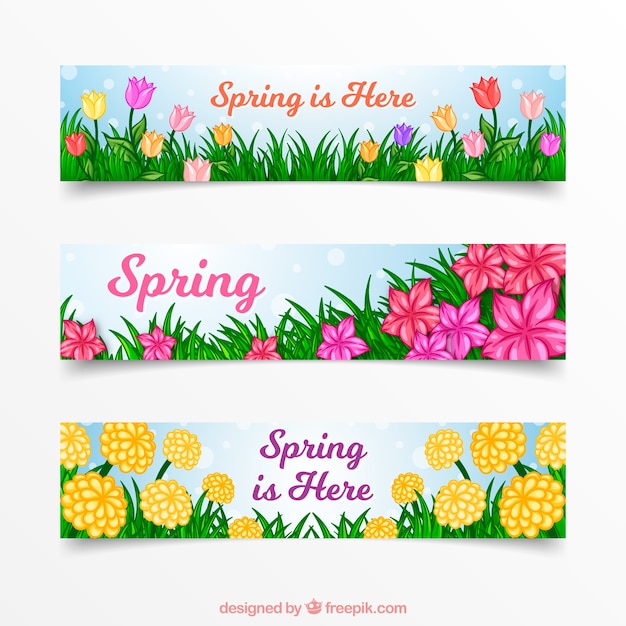 Download Spring floral banners Vector | Free Download