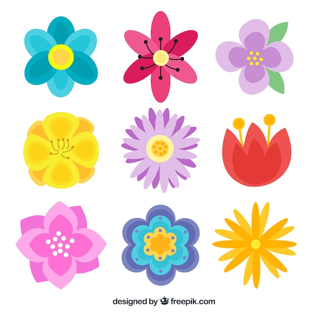 Free Vector | Spring flower collection