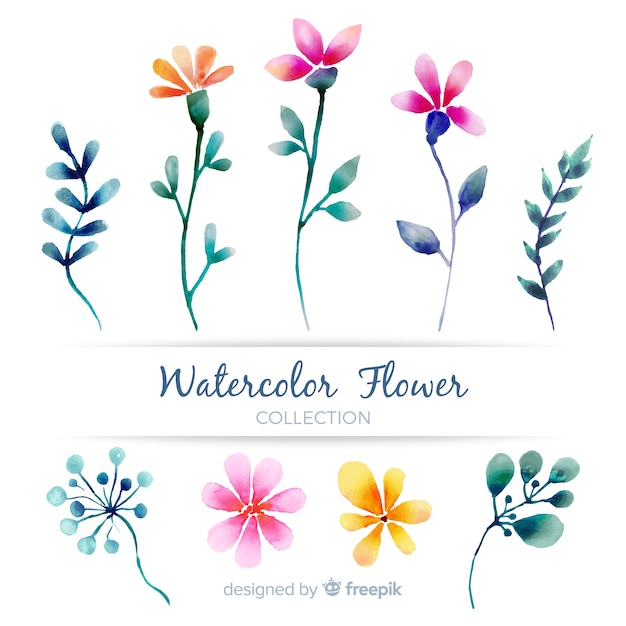 Spring flower collection | Free Vector