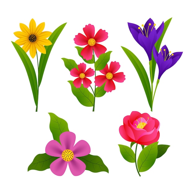 Free Vector | Spring Flower Collection