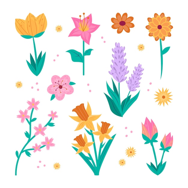 Premium Vector Spring Flower Collection