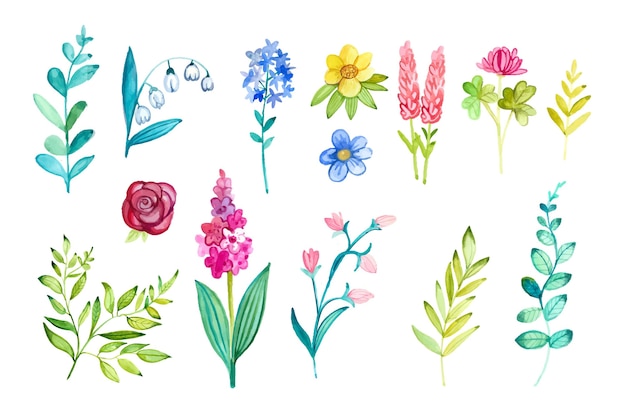 Free Vector | Spring flower collection