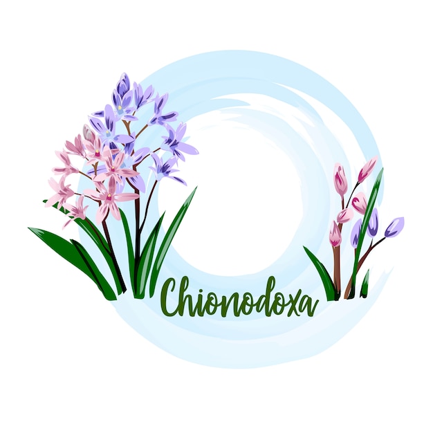 Spring flower | Premium Vector