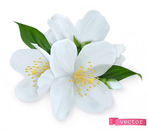 Download Spring flowers. 3d realistic icon Vector | Premium Download