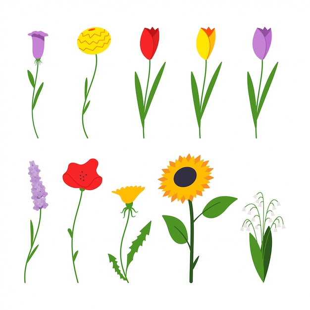 Premium Vector | Spring flowers cartoon flat simple set isolated on a white