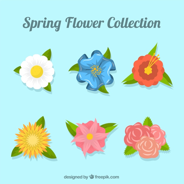 Flower Collection Images : Flat Spring Flower Collection ...