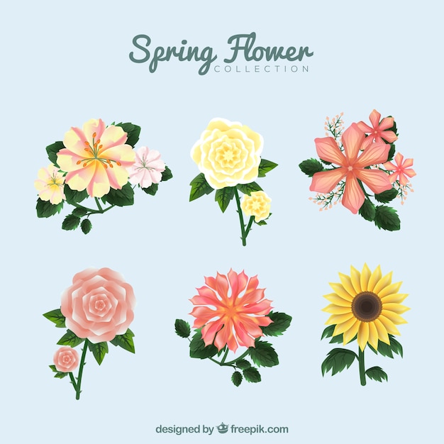 Spring flowers collection in vintage
style