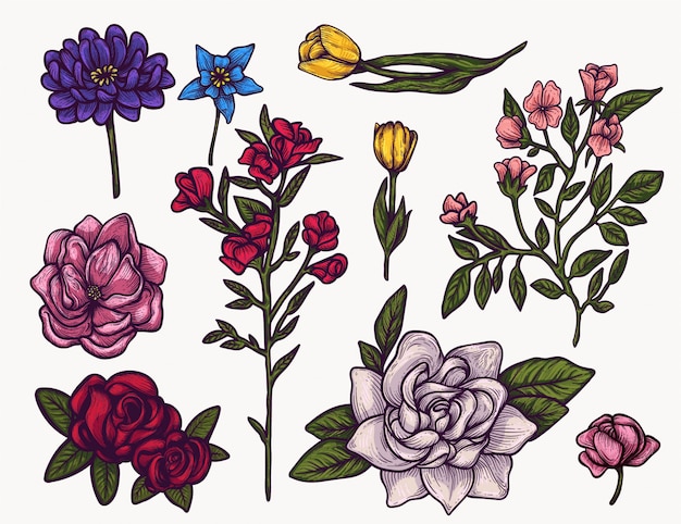 春の花は手描き分離カラフルなクリップアートです グラフィックデザインとあなたの創造的なプロジェクトのために咲く花の要素を植える プレミアムベクター