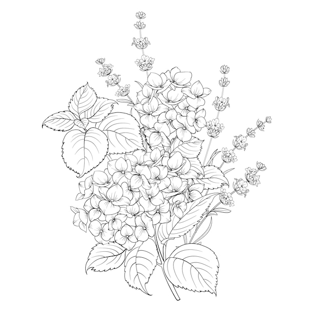 白の春の花イラスト プレミアムベクター
