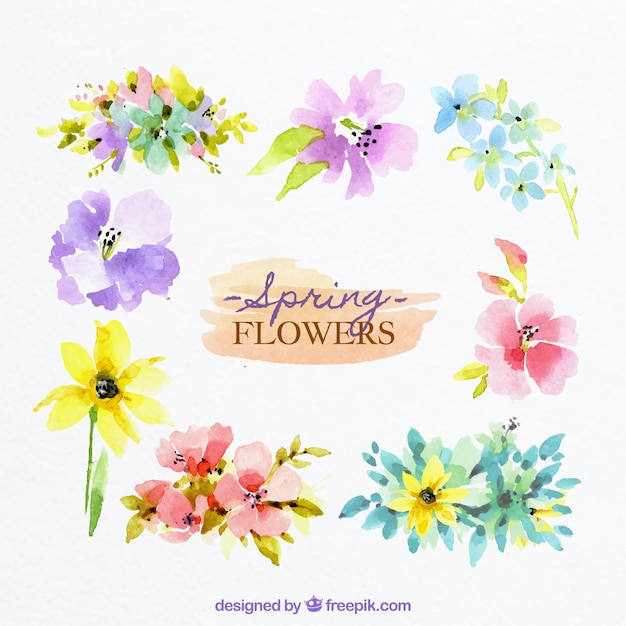 Download Free Vector | Spring flowers in watercolor style