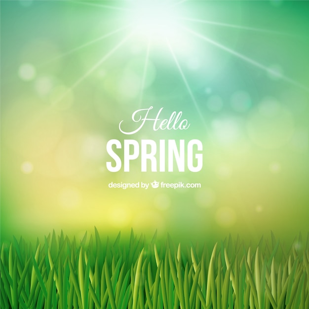 Spring grass background Vector | Free Download