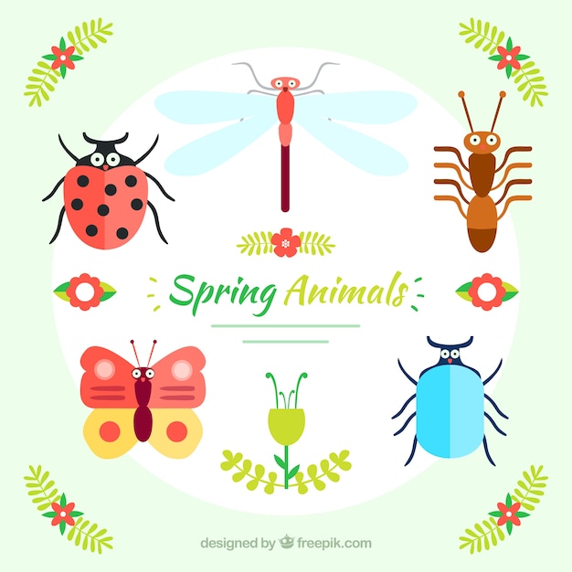 Spring insects pack