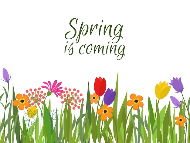 Premium Vector | Spring is coming background