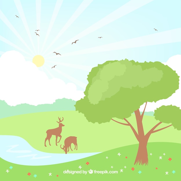 Spring landscape with deer