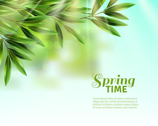 Spring leaves background Free Vector