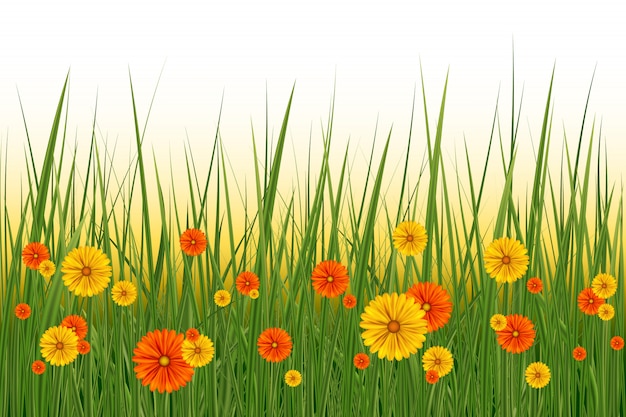 春や夏の背景 花や草 イラストで晴れた日 春の草と草原の花とイースター装飾要素 プレミアムベクター