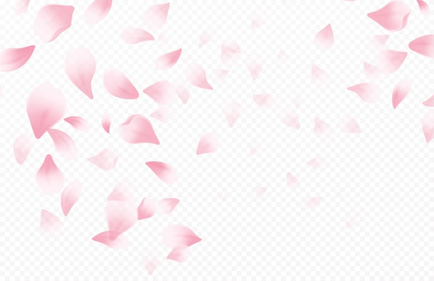 Sakura Images Free Vectors Stock Photos Psd