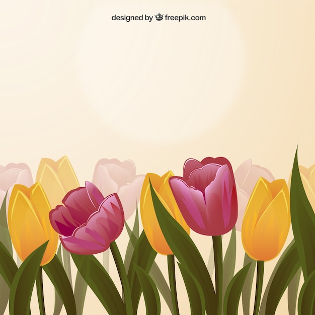 Spring tulips background