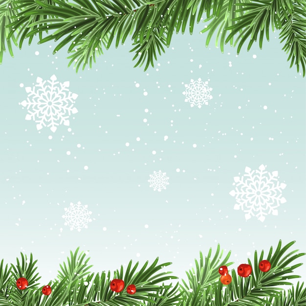 Premium Vector | Spruce branches background