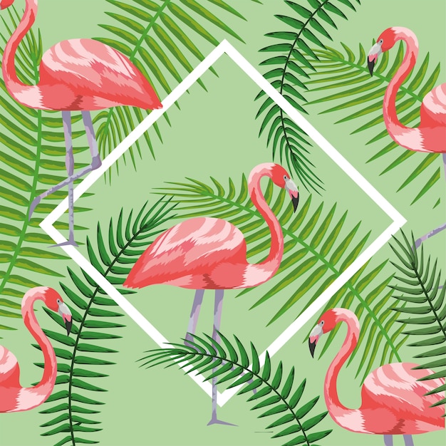 Premium Vector Square Frame With Flamingos And Branches Leaves Background