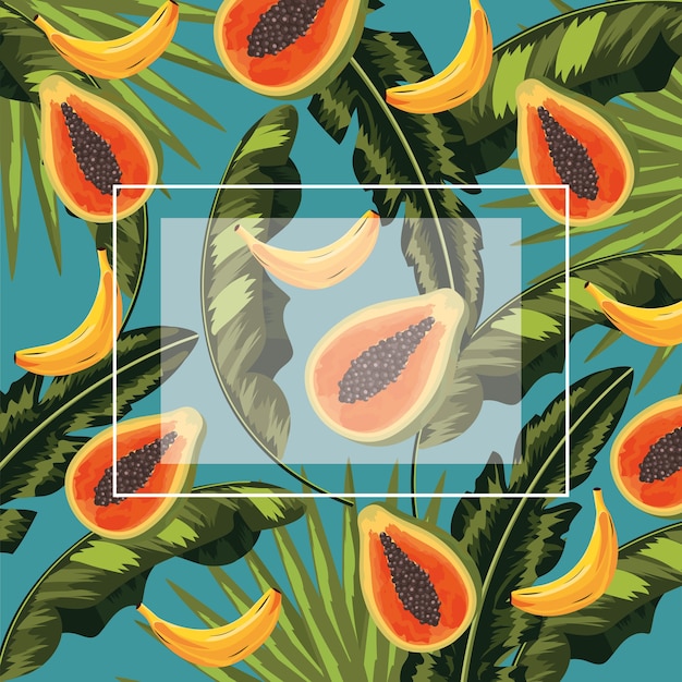Square frame with papayas and bananas fruits and leaves Premium Vector