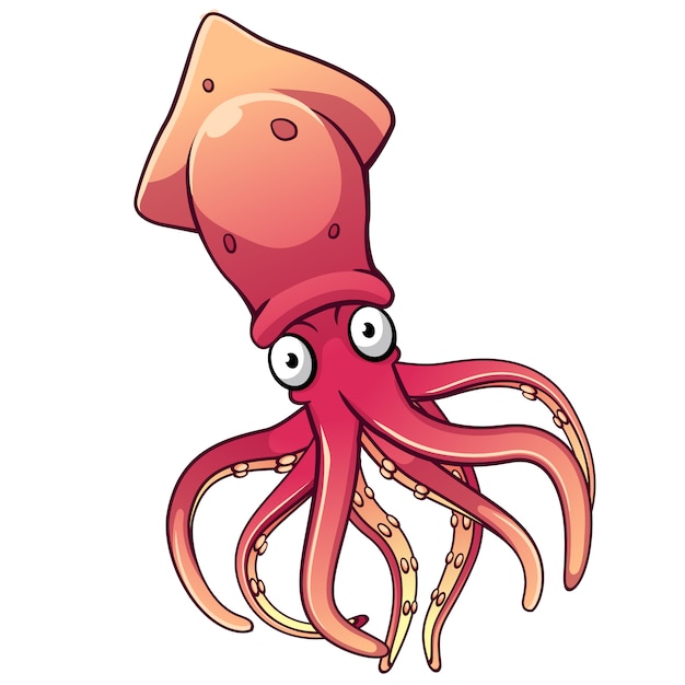 Premium Vector Squid cartoon