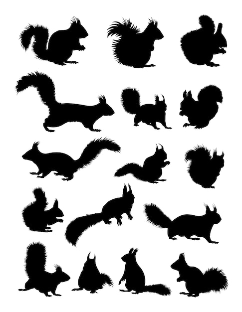 Download Squirrel animal silhouette | Premium Vector