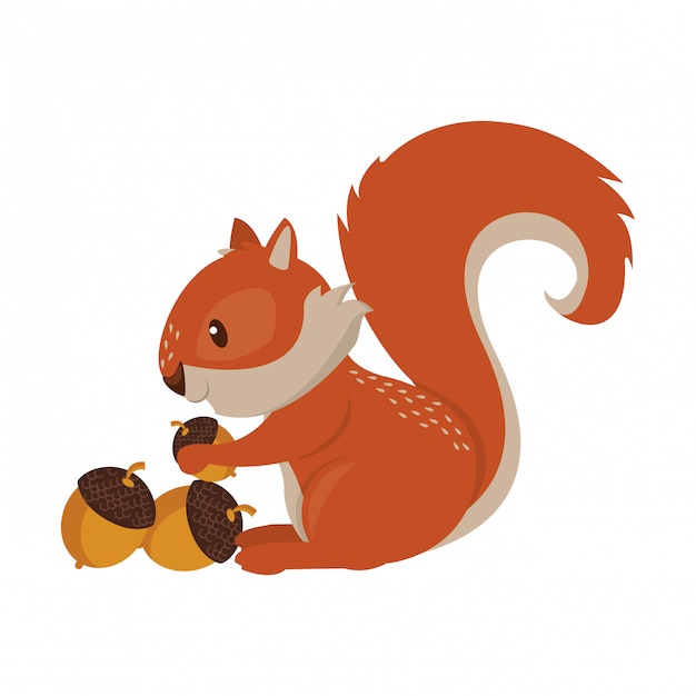 Premium Vector | Squirrel eating nut cartoon animal