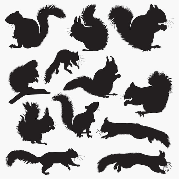 Squirrel silhouettes Vector | Premium Download
