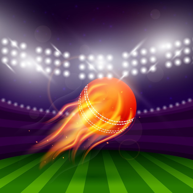 Free Vector | Stadium of cricket night