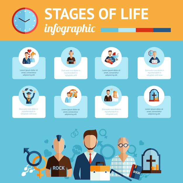 Stages of life infographic report print | Free Vector