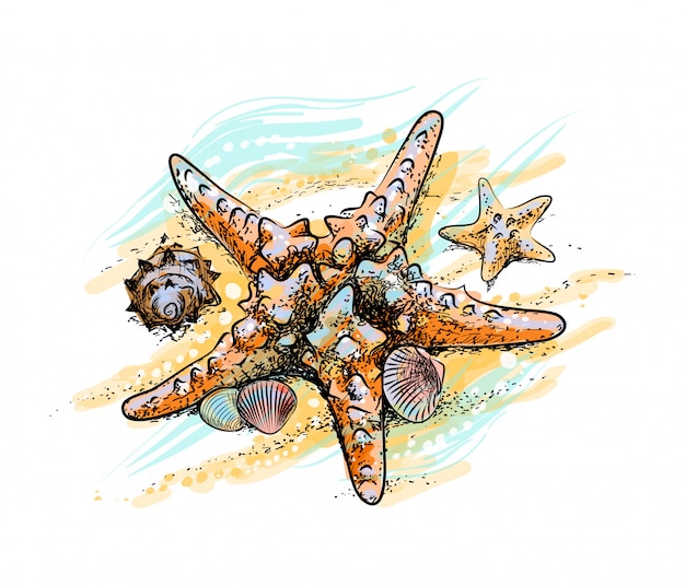 ヒトデと夏のビーチで貝殻を水彩のスプラッシュから砂で 手描きのスケッチ 塗料のベクトルイラスト プレミアムベクター