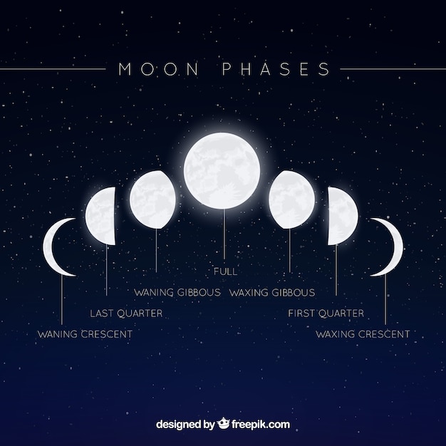 19 top Moon Phases Side Tattoo ideas in 2024