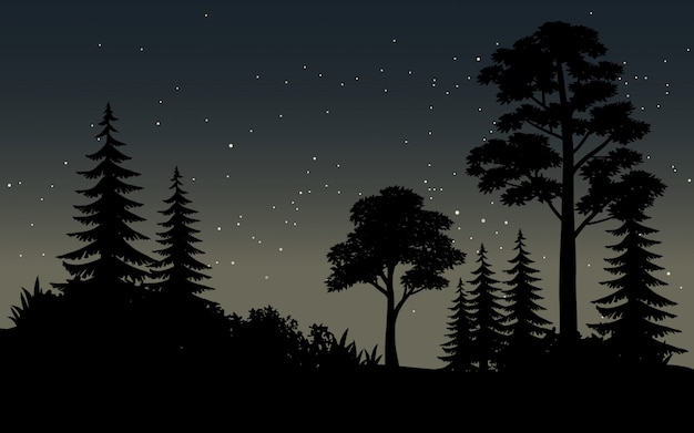 Premium Vector Starry Night In Forest Vector Landscape