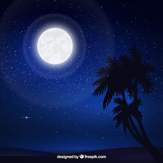 Starry sky background with moon and palm\
trees